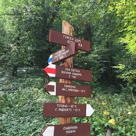 арт комплекс горски дом - 3* Triawna