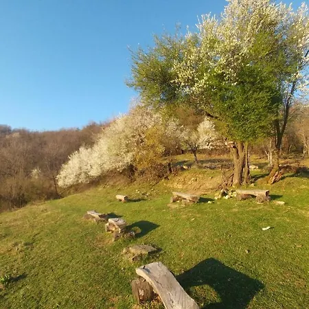 арт комплекс горски дом - 3* Trjavna