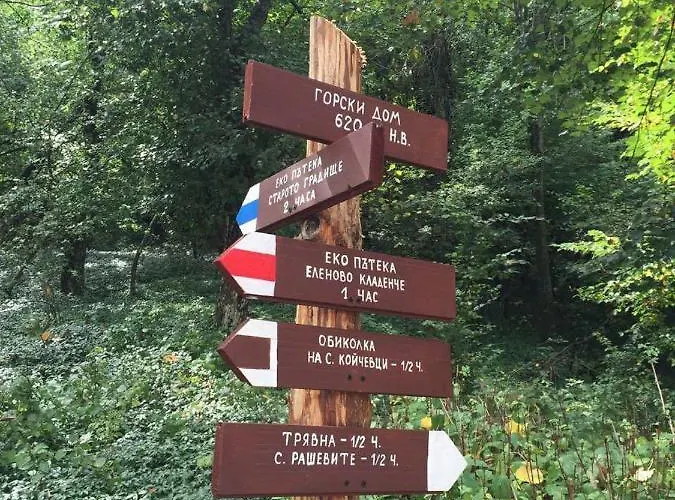 арт комплекс горски дом - 3* Tryavna