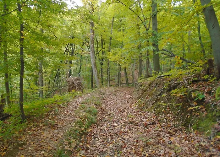 арт комплекс горски дом -