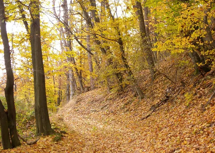 арт комплекс горски дом - 3*