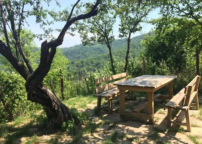 арт комплекс горски дом - Tryavna